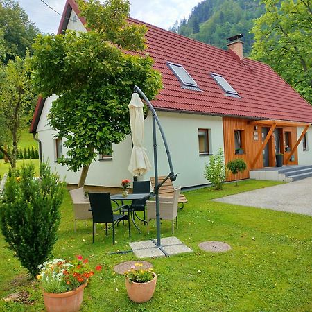 Apartmaji Pri Dravi Podvelka Exterior foto