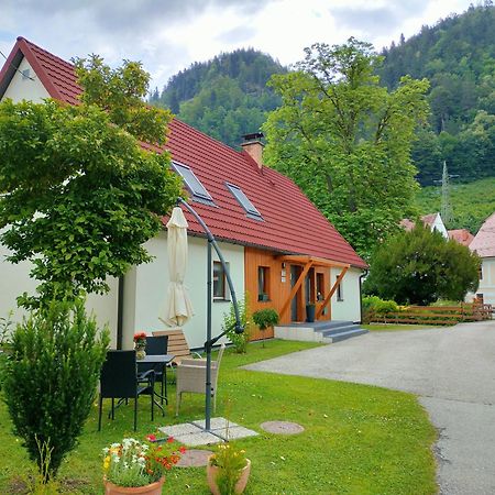 Apartmaji Pri Dravi Podvelka Exterior foto